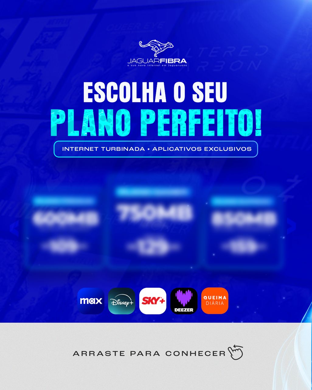 Plano Premium